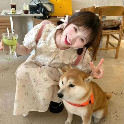 狐狸猎手 海报